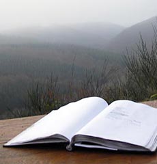 Home Page Image